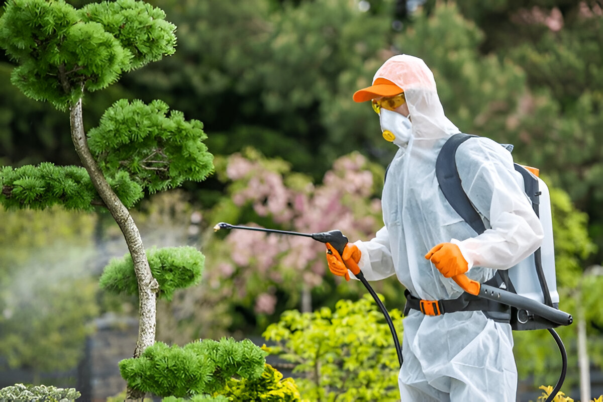 Pest Control
